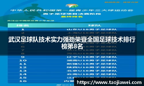 武汉足球队技术实力强劲荣登全国足球技术排行榜第8名